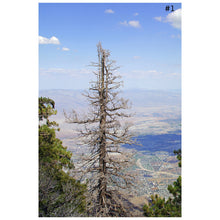 Load image into Gallery viewer, Top of Tram - 3 Parts