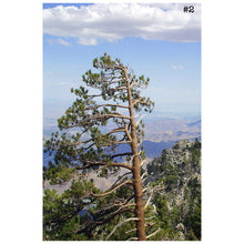 Load image into Gallery viewer, Top of Tram - 3 Parts