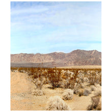 Load image into Gallery viewer, Joshua Tree East Panorama-4 Parts