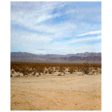 Load image into Gallery viewer, Joshua Tree East Panorama-4 Parts