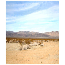 Load image into Gallery viewer, Joshua Tree East Panorama-4 Parts