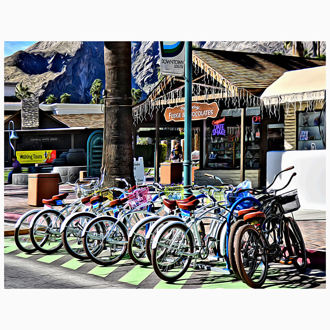 Palm Canyon Bikes and Fudge