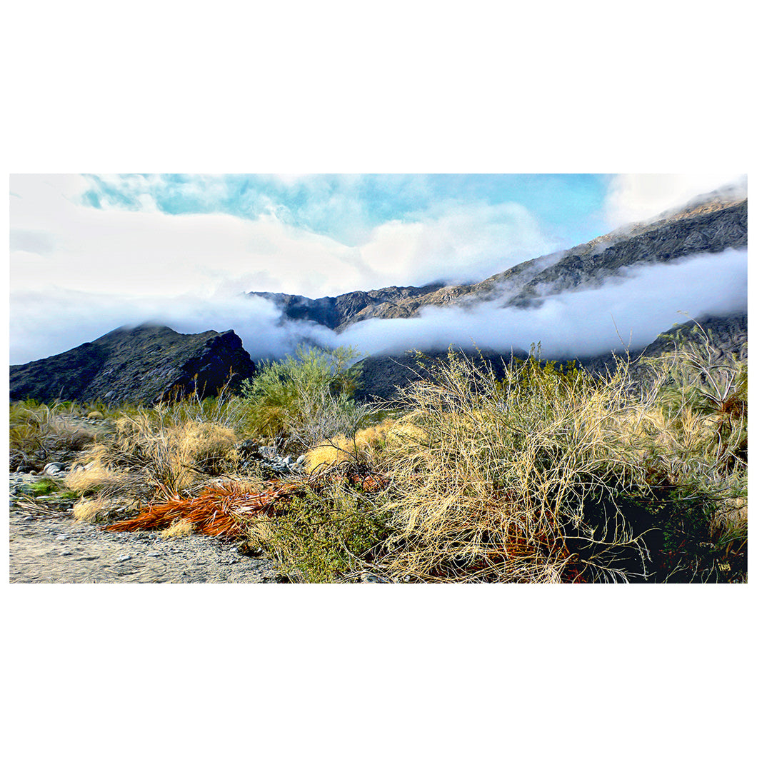 Tahquitz Canyon Post Storm