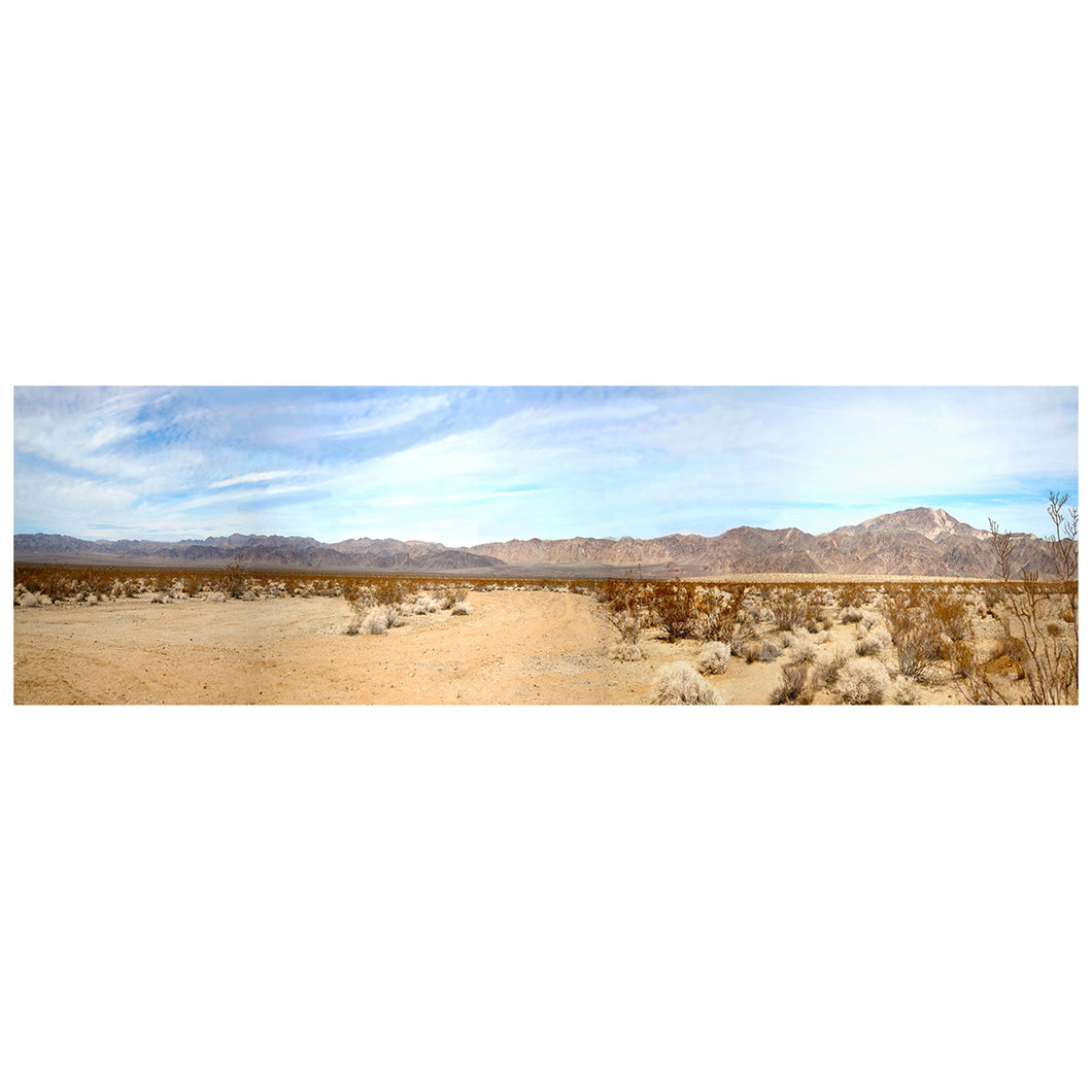 Joshua Tree East Panorama