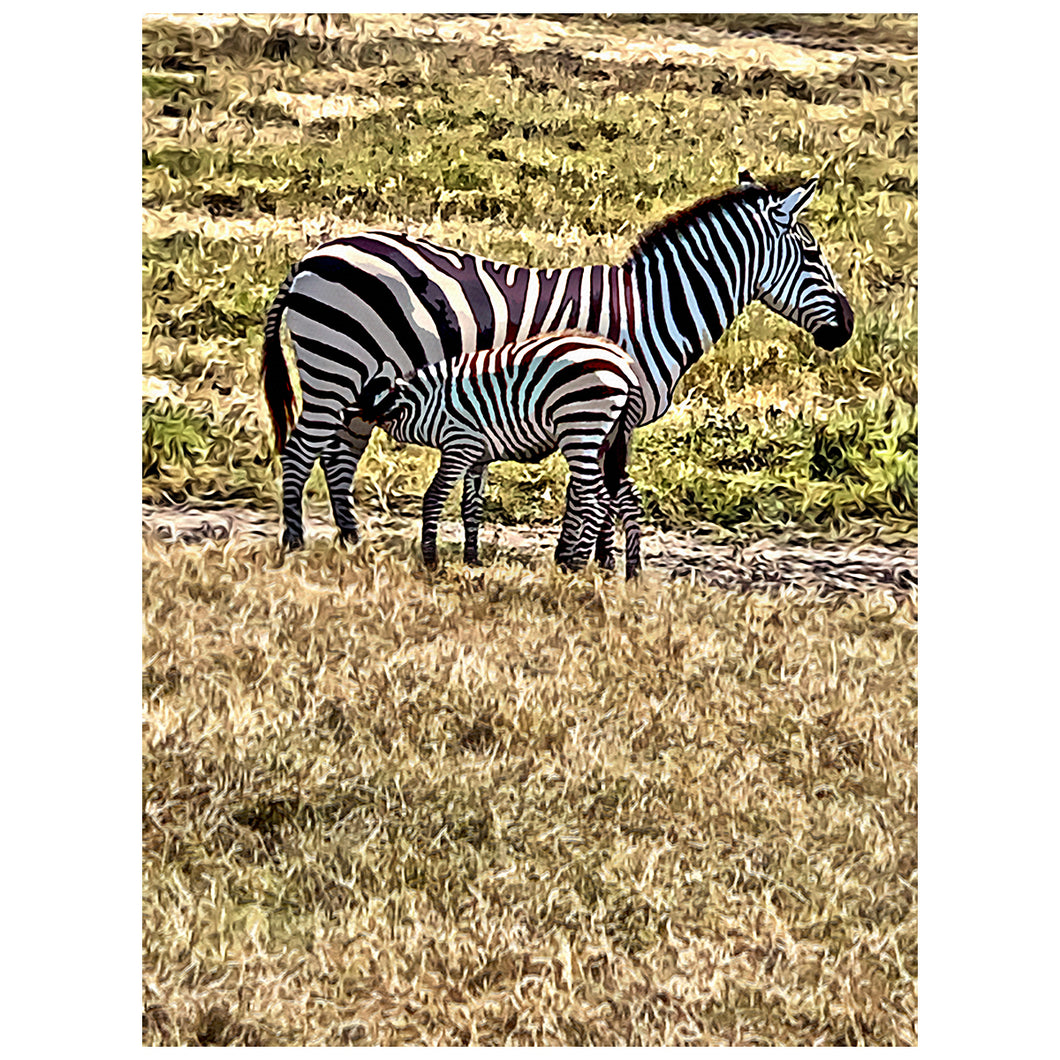 Zebra with Baby