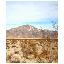 Load image into Gallery viewer, Joshua Tree East Panorama-4 Parts
